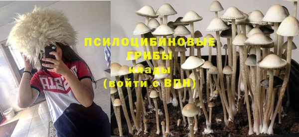 дживик Инсар