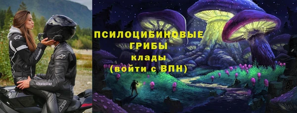 дживик Инсар