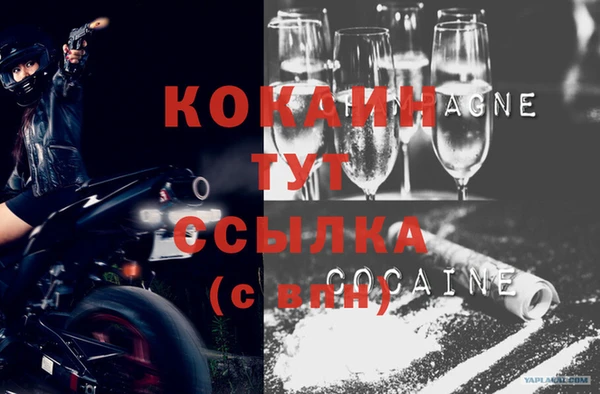 дживик Инсар